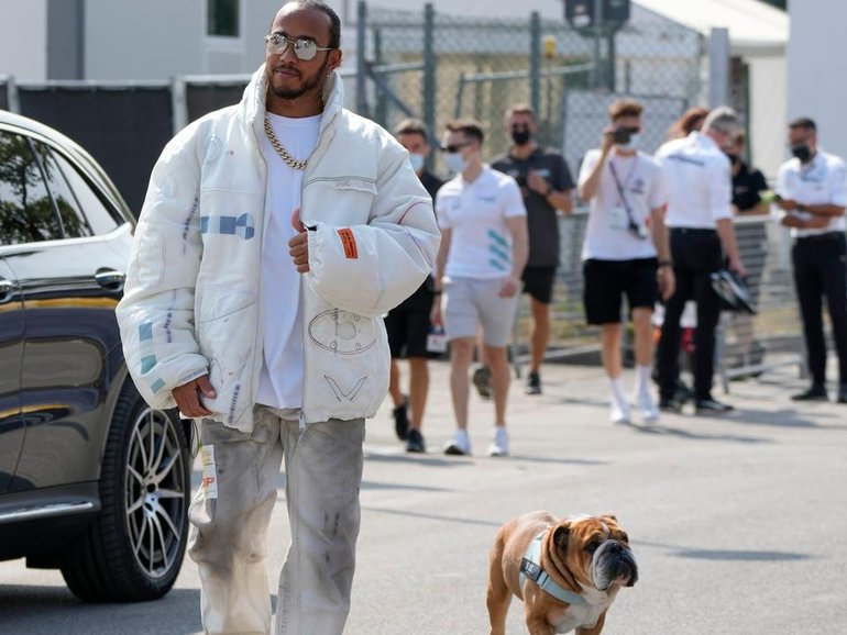 Lewis Hamilton's poorly dog Roscoe has been a regular sight in F1 paddocks. (AP PHOTO)