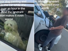 A dog owner has sparked outrage after leaving her pet in a hot car for more than an hour.