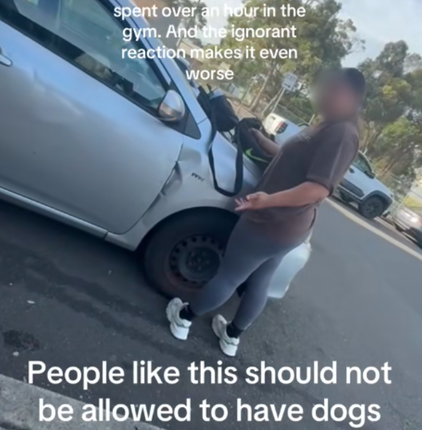 The dog owner appeared annoyed by the accusations.