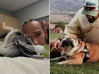 The former world champion has had Roscoe since 2013.