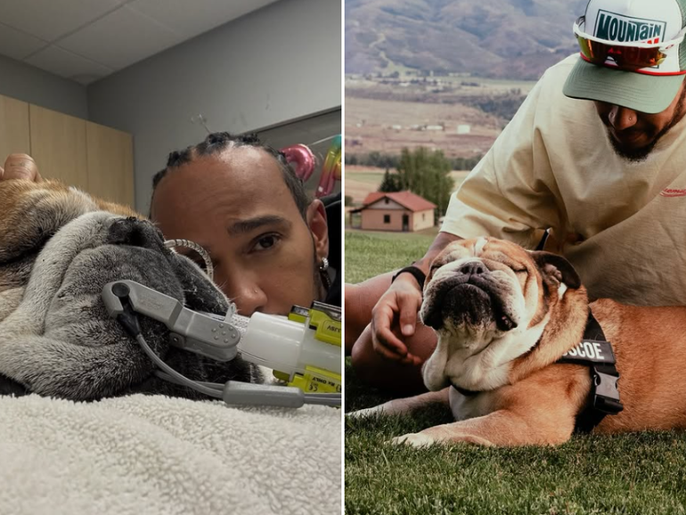 The former world champion has had Roscoe since 2013.