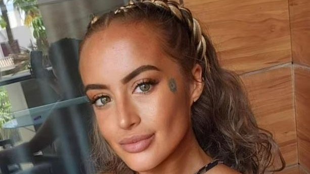 Michelle Hempstead, 34, died after getting ‘caught in the crossfire’ of a fight over chicken nuggets between her two pet dogs. 