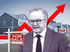 Anthony Albanese’s Home Price Guarantee Scheme comes into effect today, but experts fear surging prices will reduce how much it will help first-home buyers.