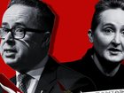 Vanessa Hudson was appointed CEO to restore confidence in Qantas after the departure of Alan Joyce. 