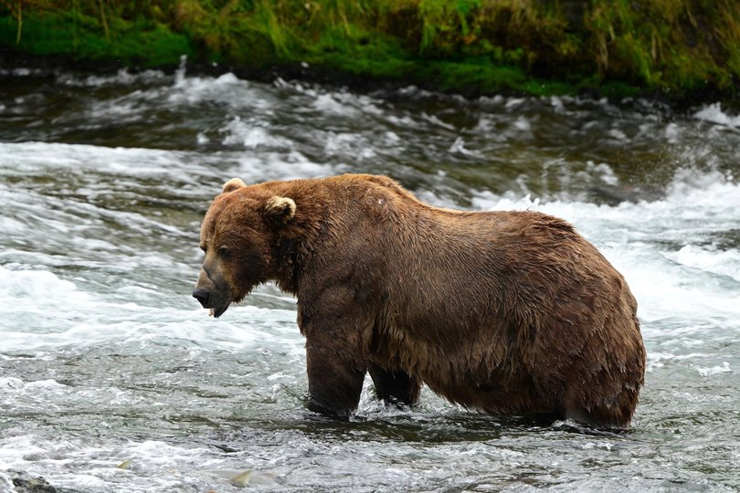 This year’s winner bear 32 on July 14.