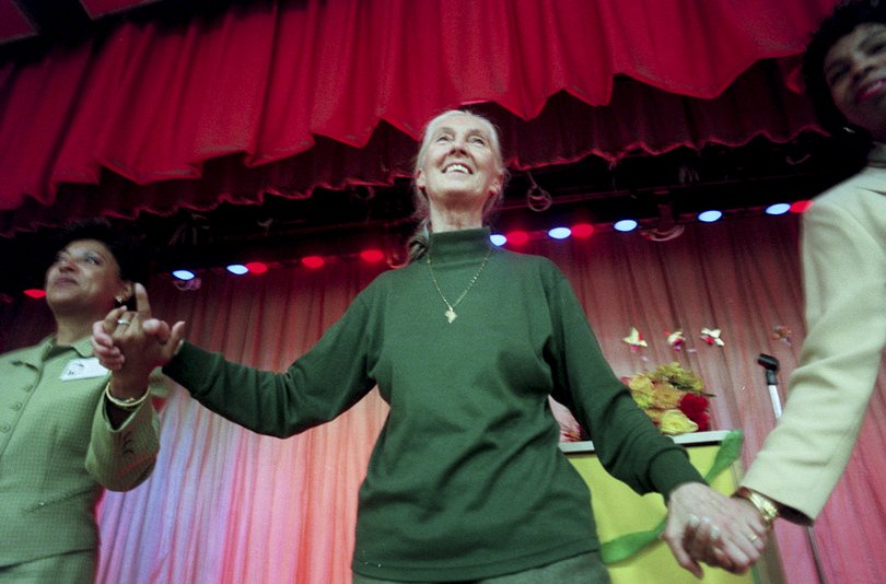 Jane Goodall, the celebrated primatologist, during an event with schoolchildren in the Bronx in 1999. 