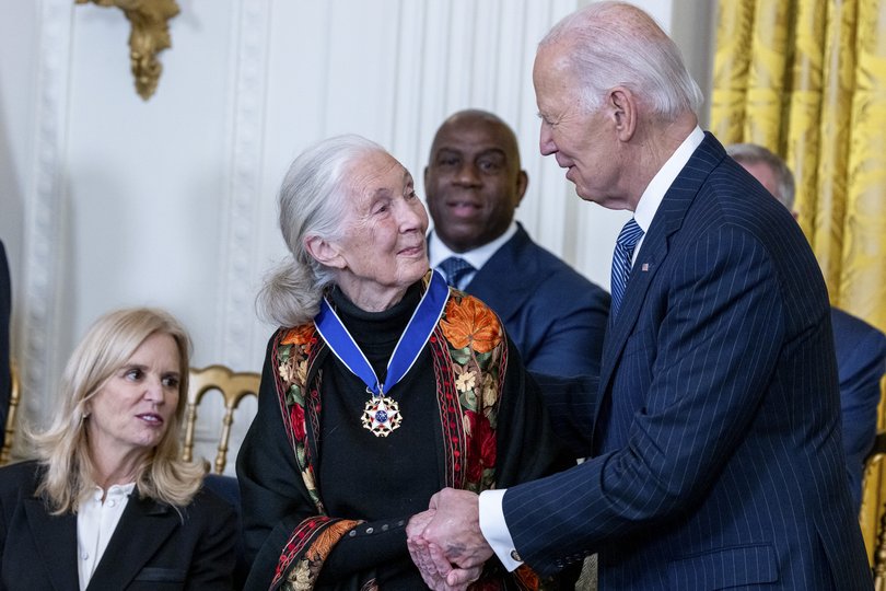President Joe Biden awards the Presidential Medal of Freedom to Jane Goodall at the White House in Washington on January 4, 2025. 