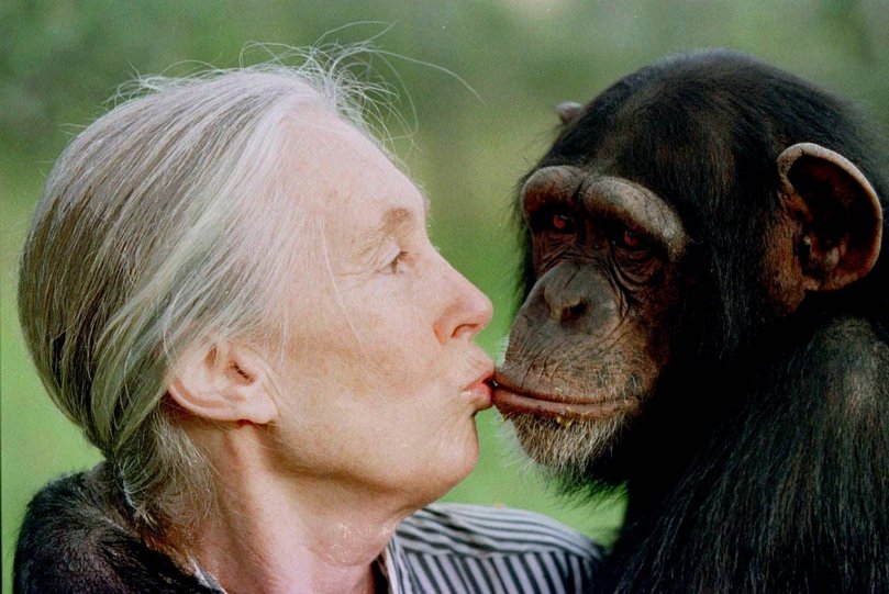 Jane Goodall gives a little kiss to Tess,  a 5 or 6 year-old female chimpanzee at the Sweetwaters Chimpanzee Sanctuary near Nanyuki, 170 km north of Nairobi in 1997. 