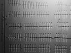 A detail of Tehching Hsieh's installation “One Year Performance 1978-1979 (Cage Piece)” on display at the Dia Beacon museum in Beacon, New York. 