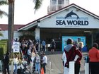 Seaworld on the Gold Coast
