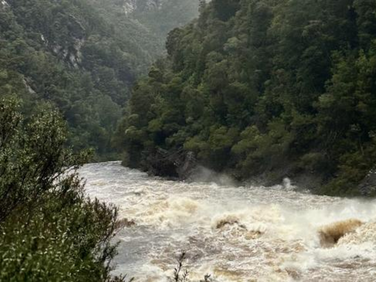 A woman has drowned after her raft overturned during a wilderness adventure in Tasmania.