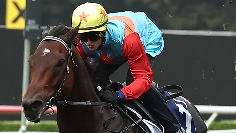 World No.1 sprinter Ka Ying Rising has turned in a solid — but hardly eye-catching — run in his barrier trial at Randwick on Tuesday.