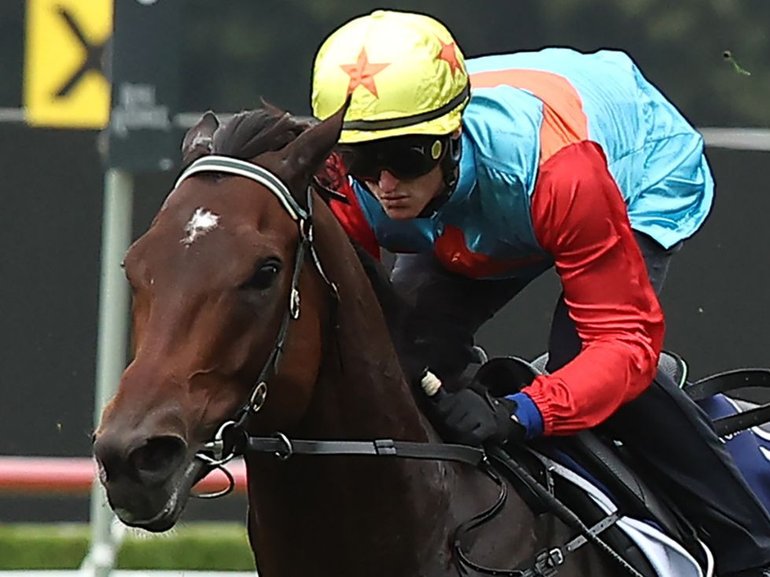 World No.1 sprinter Ka Ying Rising has turned in a solid — but hardly eye-catching — run in his barrier trial at Randwick on Tuesday.