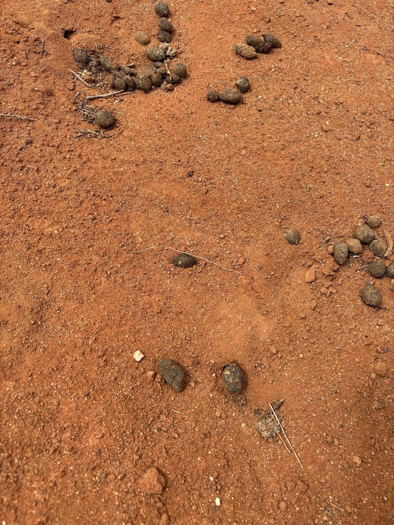The footprint found by police.