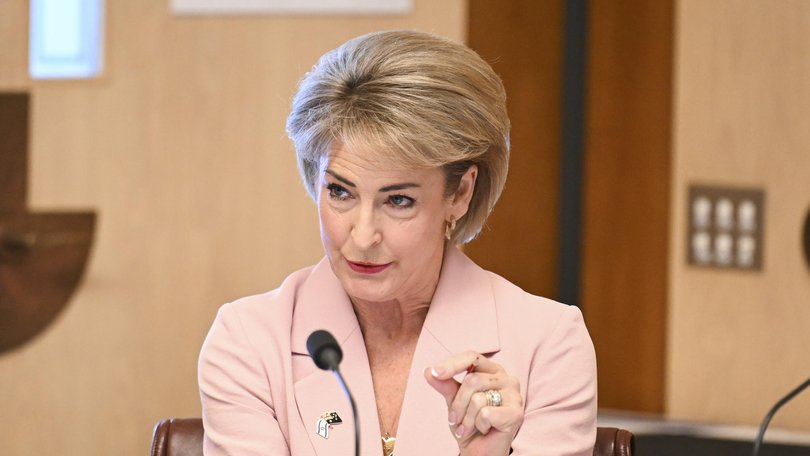 Opposition foreign affairs spokeswoman Michaelia Cash has grilled Senior public servants from Prime Minister Anthony Albanese’s department.