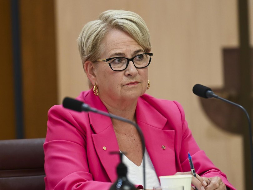 Greens senator Barbara Pocock said the consulting firm should issue a public apology to Australians. Picture: NewsWire / Martin Ollman