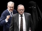 The Albanese Government has claimed two women who ran off to join Islamic State received no special support from the Government to return home.