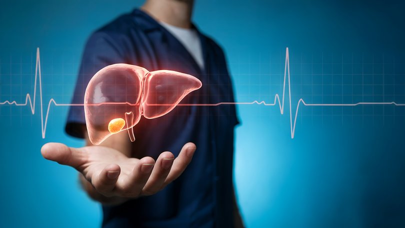 A section of a pig's liver was transplanted into a human cancer patient.
