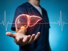 A section of a pig's liver was transplanted into a human cancer patient.