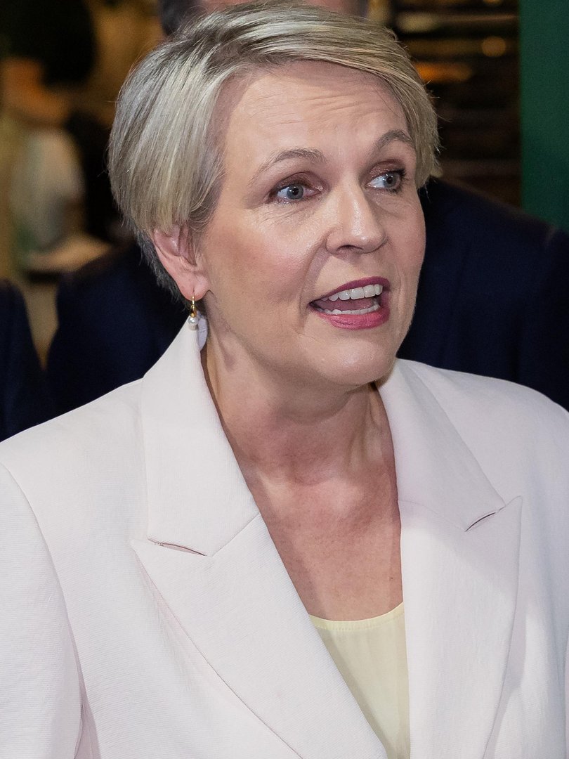 Social Services Minister Tanya Plibersek says Senator Thorpe’s comments are ‘absolutely irresponsible’. Picture: NewsWire / Jason Edwards