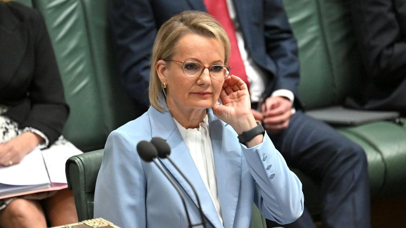 Just 33 per cent of people in Resolve's poll rated Sussan Ley's performance as good or very good.