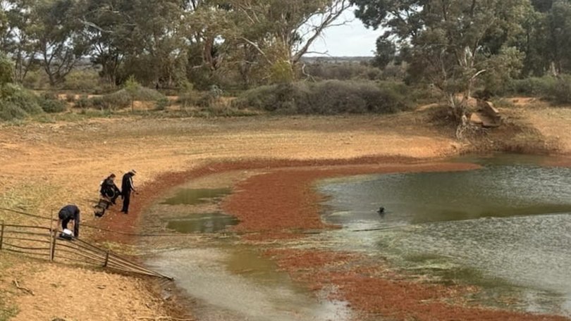 The search for the missing boy continues. Picture: Supplied SA Police