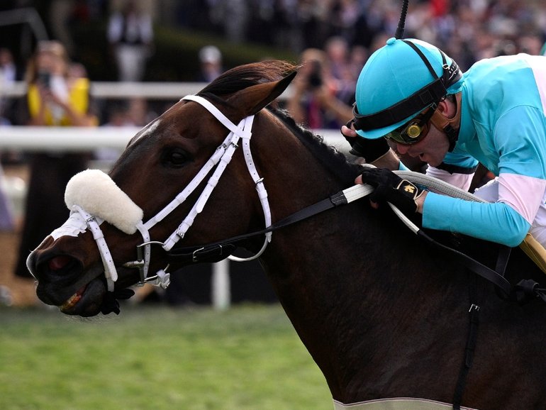 Moira has been suddenly retired days before the Caulfield Cup.