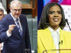 Tony Burke and Candace Owens