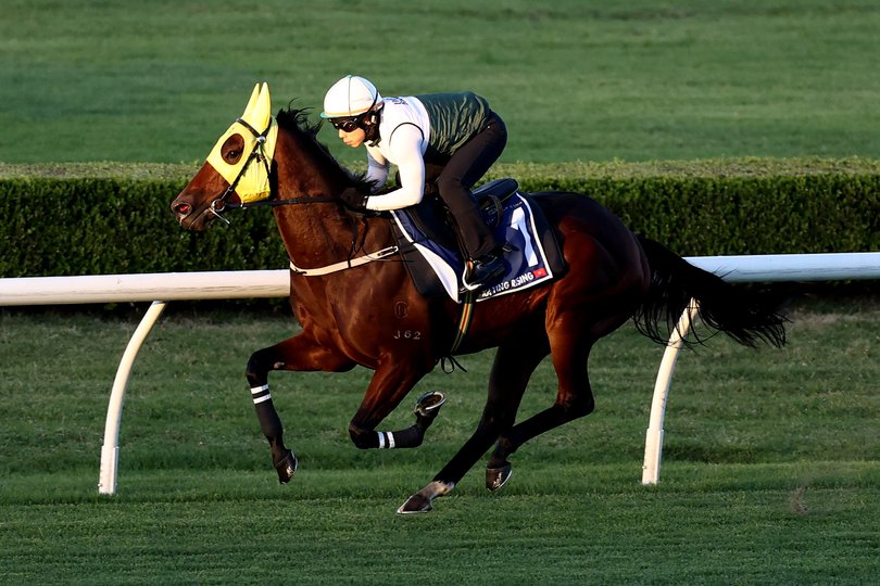 Ka Ying Rising gallops during a trackwork session at Canterbury Park Racecourse on October 13, 2025.