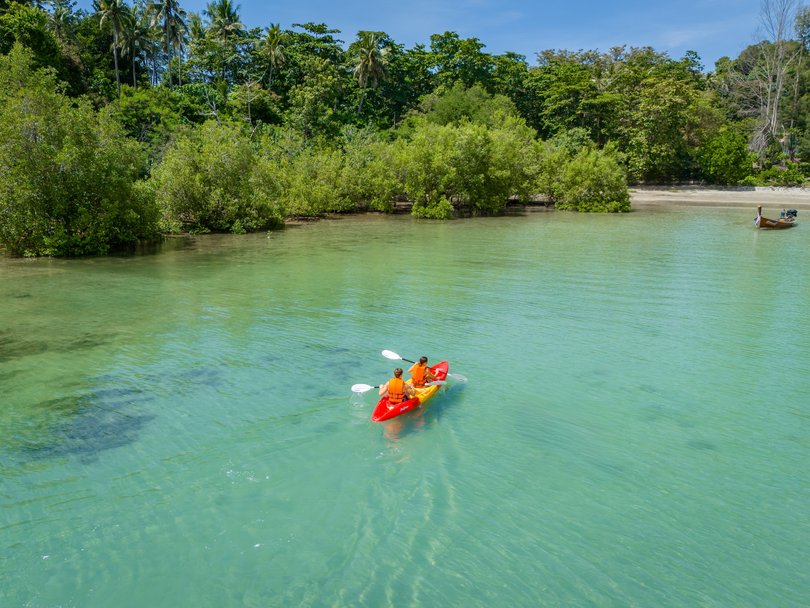 Kayak through one of Thailand's last intact mangrove forests.
