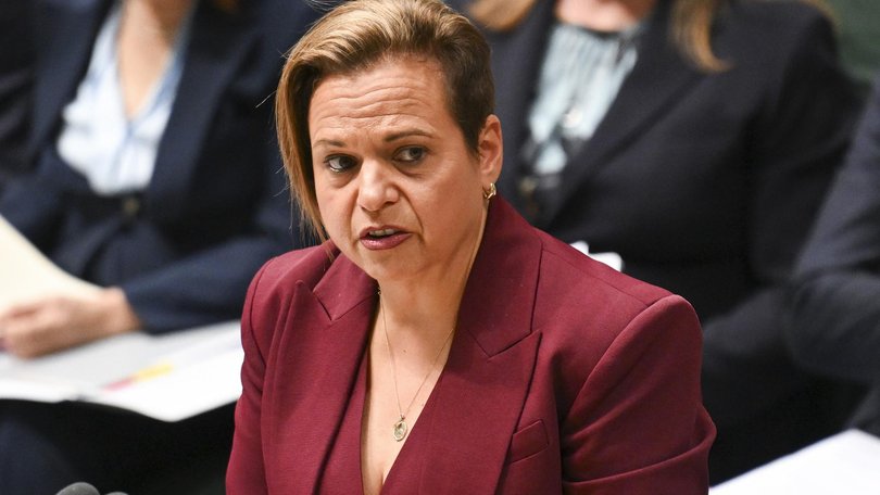 Labor’s claim they’re tightening freedom of information laws due to AI bots have been scrutinised.