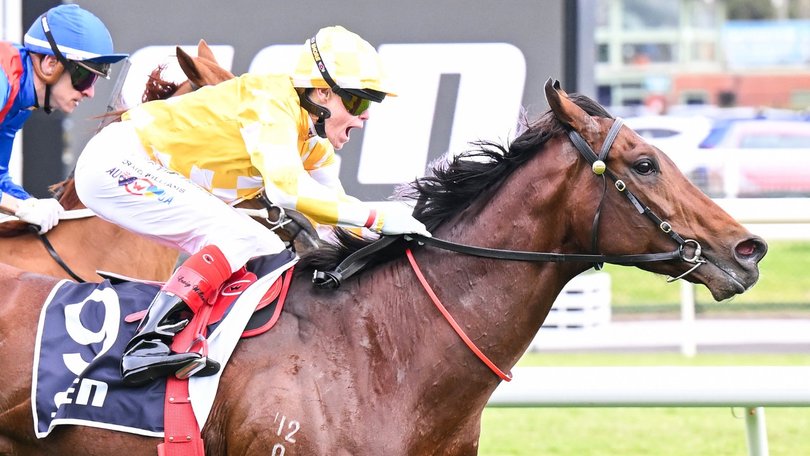 Sir Delius has been ruled out of the Cox Plate and Melbourne Cup.