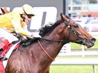 Sir Delius has been ruled out of the Cox Plate and Melbourne Cup.