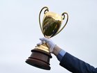 Half Yours has won the Caulfield Cup on a historic afternoon in Melbourne. (James Ross/AAP PHOTOS)
