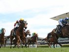 Generic horses at Randwick