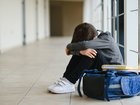 The federal education union has warned the government that teachers cannot be doing the heavy lifting to implement new anti-bullying recommendations. 