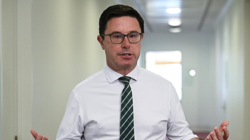 Nationals leader David Littleproud has called on Barnaby Joyce to stay in the party. NewsWire / Martin Ollman