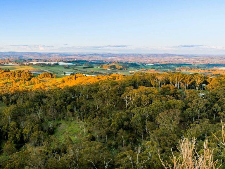 Mount Canobolas' lookout orange.