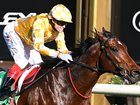 Sir Delius could run in Sydney after being ruled out of the Melbourne Cup carnival.
