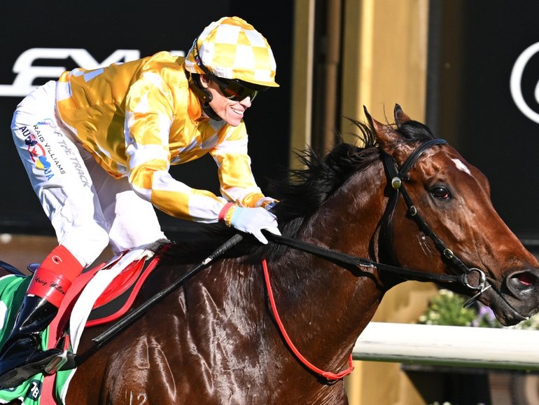 Sir Delius could run in Sydney after being ruled out of the Melbourne Cup carnival.