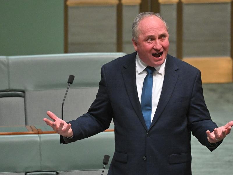 Barnaby Joyce still has a critical role to play in the Nationals, leader David Littleproud says.