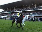 MELBOURNE, AUSTRALIA - OCTOBER 23:  Jockey Steven Arnold riding So You Think returns to scale after his win in the 2010 Tatts Cox Plate during Cox Plate Day at Moonee Valley Racecourse on October 23, 2010 in Melbourne, Australia.  (Photo by Mark Dadswell/Getty Images)