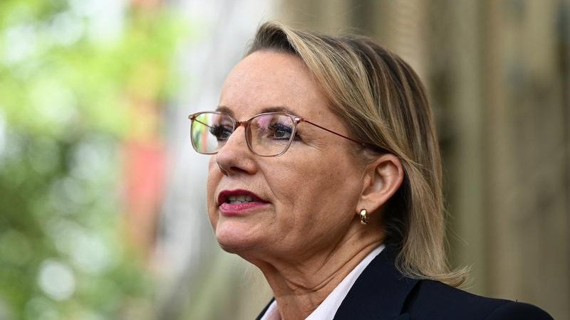 Opposition Leader Sussan Ley says Anthony Albanese’s meeting with Donald Trump was a ‘missed opportunity’. 