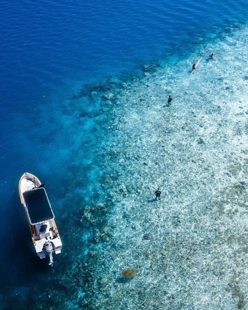 The hands-on conservation experience, in partnership with global NGO Coral Gardeners.
