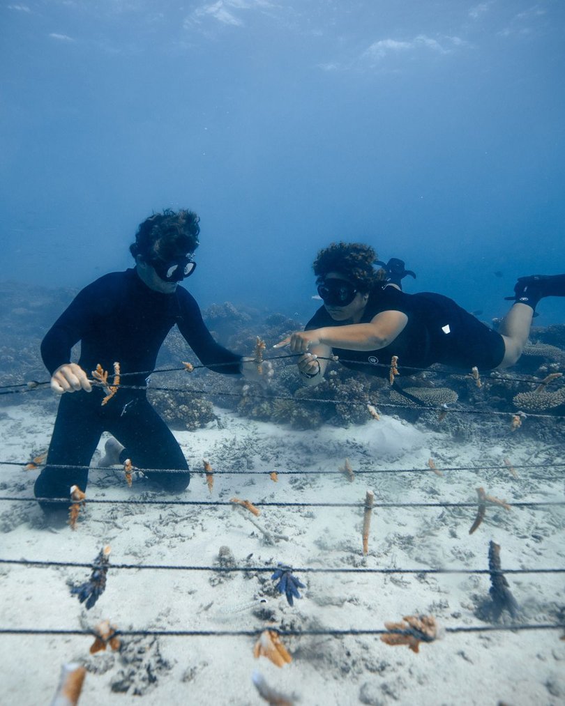 Six Senses Fiji coral gardener initiative.