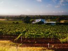 Cotalitys latest Million Dollar Markets report reveals a record share of Australian property markets now boast seven-figure medians. Picture Shutterstock
