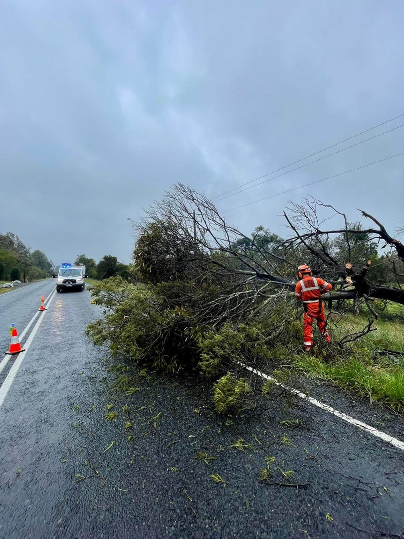 Emergency crews worked through the night as dangerous winds brought down trees.