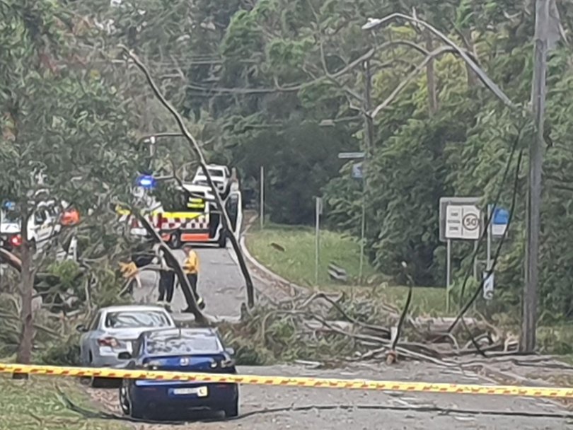 Trees were down across much of NSW as winds tore through the state. Picture: Facebook