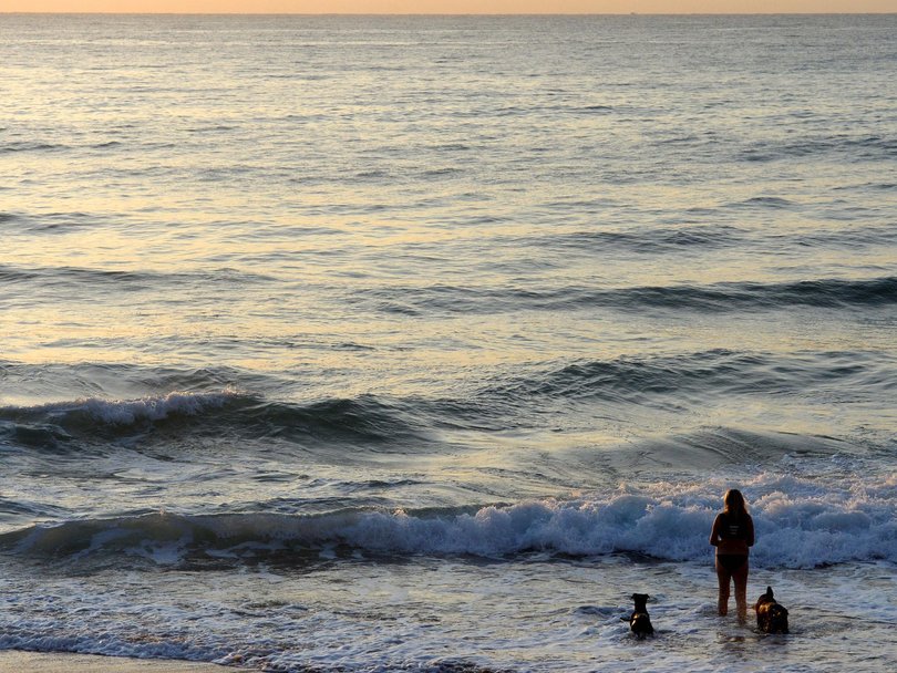 A woman’s body has been found at Mona Vale Beach. Picture: NewsWire / Jeremy Piper