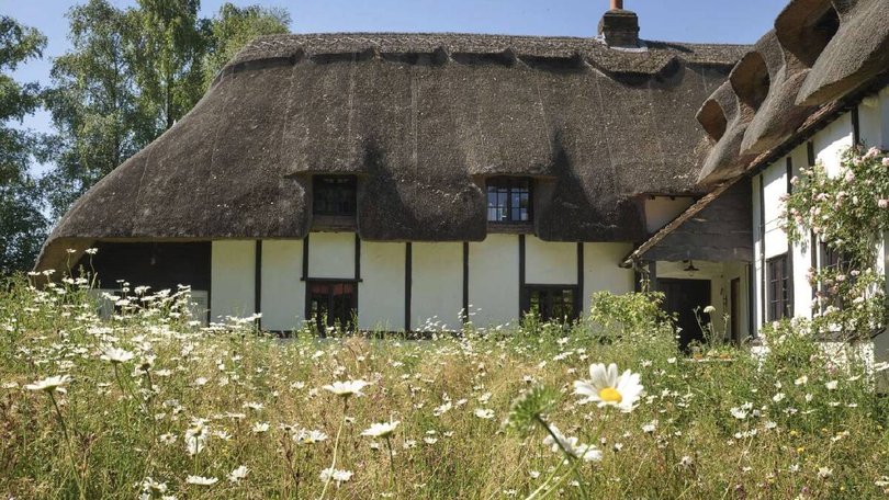 The wildflower meadow that surrounds the home. Pic: Savills.